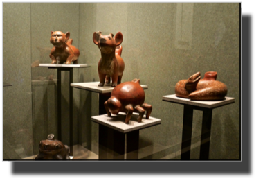 Museo Antropologio DSC02370.jpg Museo Antropologio DSC02370.jpg