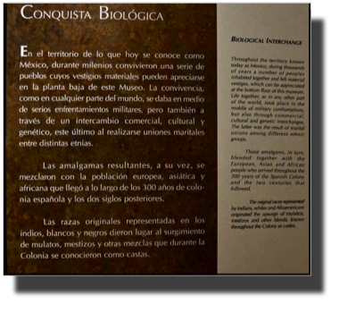 Conquista Biológica DSC02404.jpeg Conquista Biológica DSC02404.jpeg