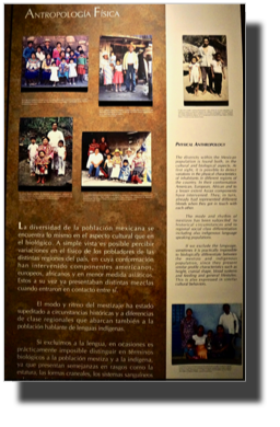 Museo Antropologio DSC02406.jpeg Museo Antropologio DSC02406.jpeg