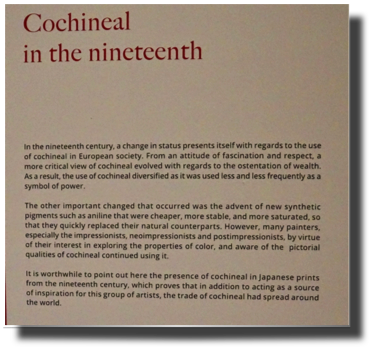 Use of the cochinilla colour DSC02462.jpg Use of the cochinilla colour DSC02462.jpg