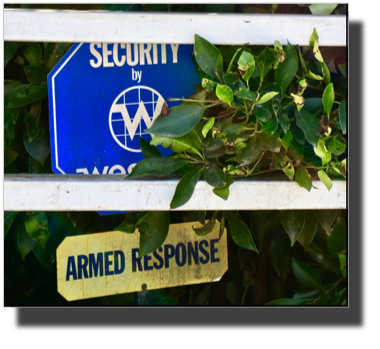 Armed Response - Better safe than sorry !? DSC02799.jpeg