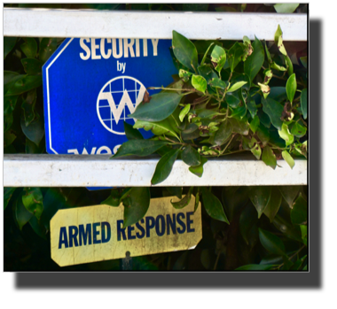 Armed Response - Better safe than sorry !? DSC02799.jpeg Armed Response - Better safe than sorry !? DSC02799.jpeg