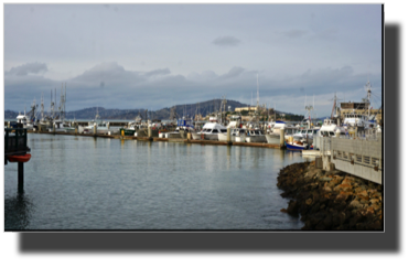 Fisherman's Wharf DSC02626.jpg Fisherman's Wharf DSC02626.jpg