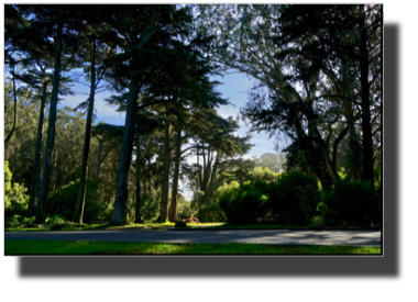 Golden Gate Park DSC02646.jpg