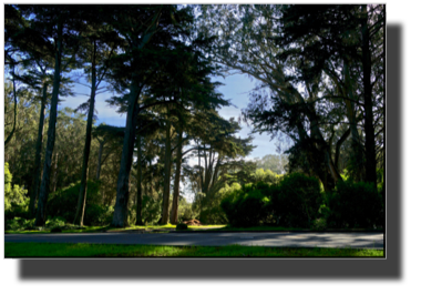 Golden Gate Park DSC02646.jpg Golden Gate Park DSC02646.jpg