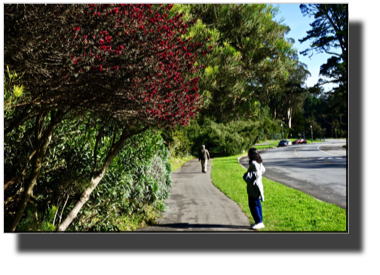 Golden Gate Park DSC02663.jpg Golden Gate Park DSC02663.jpg