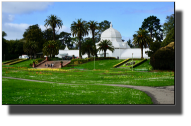 Conservatory of Flowers DSC02695.jpg