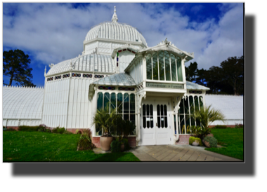 Golden Gate Park - Conservatory of Flowers DSC02698.jpg Golden Gate Park - Conservatory of Flowers DSC02698.jpg