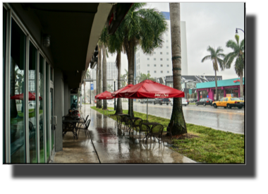 Rain in Maiami DSC01950.jpg