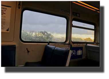 View of Miami from Skytrain DSC01966.jpg View of Miami from Skytrain DSC01966.jpg