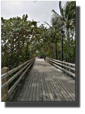 Boardwalk - Mobile photo E6A71942-5EFB-4634-A300-9E713BB7F00A-6866-000007A978149059_tmp.jpg Boardwalk - Mobile photo E6A71942-5EFB-4634-A300-9E713BB7F00A-6866-000007A978149059_tmp.jpg