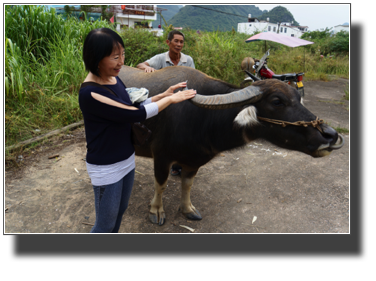 Tapping the horn gives good luck! DSC03425.jpg