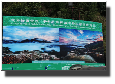 DSC03242.jpg DSC03242.jpg