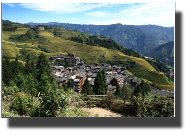 View of the village and the terraced rice fields DSC03264.jpg