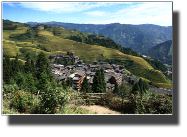 View of the village and the terraced rice fields DSC03264.jpg View of the village and the terraced rice fields DSC03264.jpg