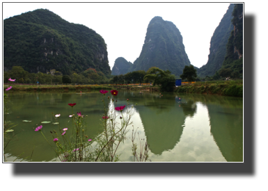 Flower fields outside Yangshuo DSC03472.jpg Flower fields outside Yangshuo DSC03472.jpg