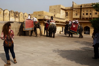 The Amber Fort DSC08563.jpg The Amber Fort DSC08563.jpg