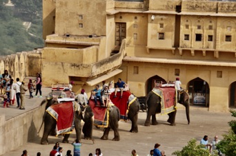 The Amber Fort DSC08567.jpg The Amber Fort DSC08567.jpg