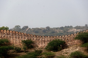 The Amber Fort DSC08610.jpg