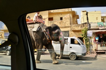 On the road through Jaipur DSC08614.jpg On the road through Jaipur DSC08614.jpg