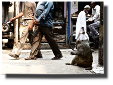 A loney beggar within Chandni Chowk DSC08449.jpg