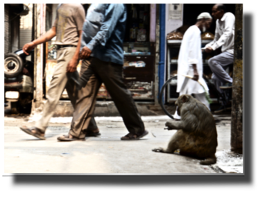 A loney beggar within Chandni Chowk DSC08449.jpg A loney beggar within Chandni Chowk DSC08449.jpg