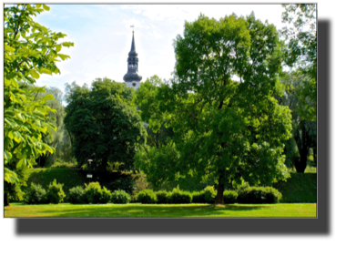 Tallinn DSC00956.jpg Tallinn DSC00956.jpg