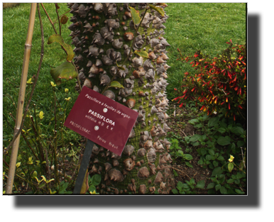 DSC01785.jpg