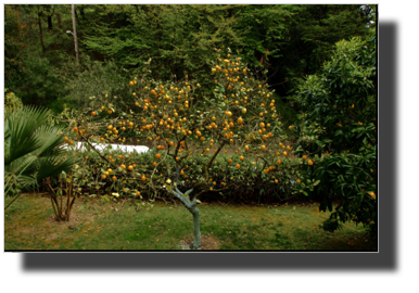 DSC01822.jpg