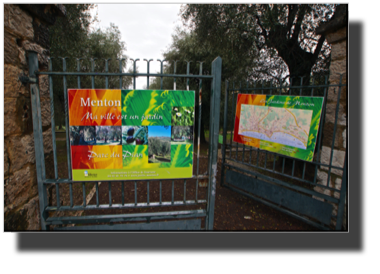 Entrance to an old olive tree garden DSC01412.jpg