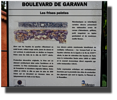 DSC01425.jpg
