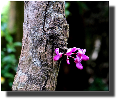 DSC00434.jpg