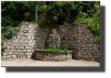 DSC00476.jpg