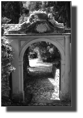 DSC00478.jpg