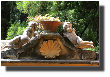 DSC00479.jpg