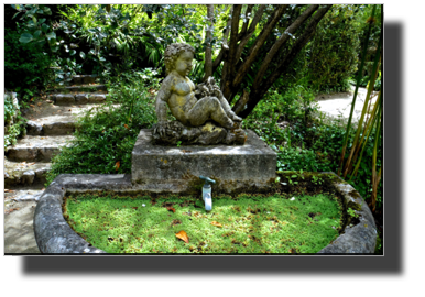DSC00485.jpg