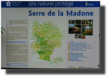 Serre de la Madone DSC00496.jpg