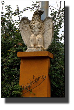 DSC00667.jpg