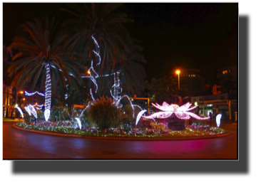DSC03530.jpg