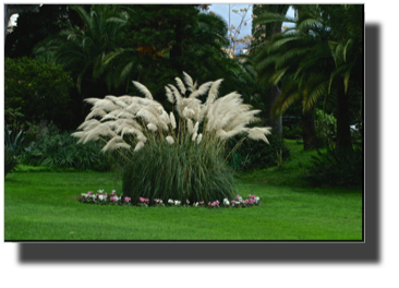 PICT0009.jpg