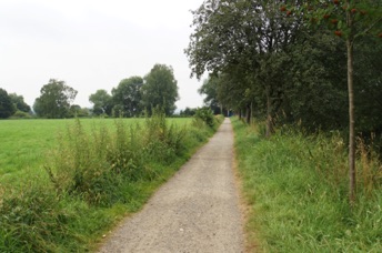 DSC07343.jpgThe road down to Ruhr 