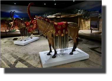 Horse decorations DSC06051.JPG Horse decorations DSC06051.JPG