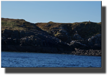 Can you find the eagle? DSC00712.jpg Can you find the eagle? DSC00712.jpg