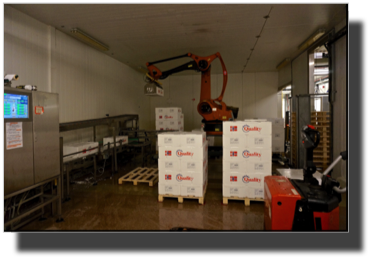 Industry robot stacking boxes with processed salmon DSC00731.jpg Industry robot stacking boxes with processed salmon DSC00731.jpg