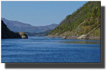 Sundstraumen DSC00767.jpg Sundstraumen DSC00767.jpg