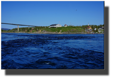 Saltstrømmen DSC00769.jpg Saltstrømmen DSC00769.jpg