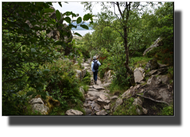 The path up/down on the east side of the mountain DSC03603.jpg