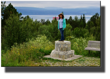 The Pedestal was made ready for my wife! DSC03840.jpg