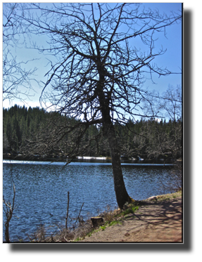 BjordammenIMG_2165.jpg BjordammenIMG_2165.jpg