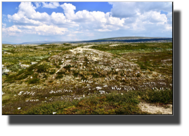 Saltfjellet - Polarsirkelen DSC03670.jpg